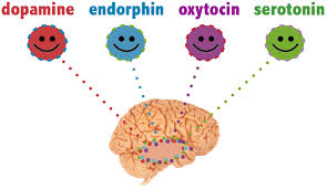 Happiness chemical